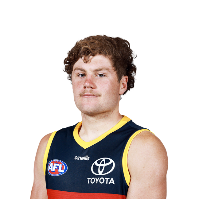 Harry Schoenberg profile picture